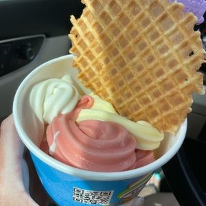 Meet your Posher, Holly